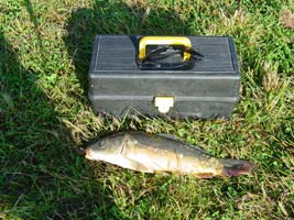 Carp at our B&B lake